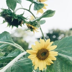 Meet your Posher, Natalie